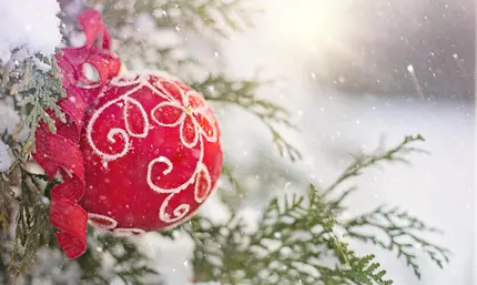 Tannenbaum mit Weihnachtskugel Rot draussen